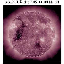 saia - 2026-05-11T08:00:09.631000