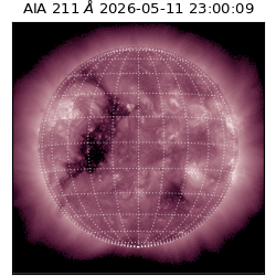 saia - 2026-05-11T23:00:09.623000