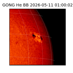 gong - 2026-05-11T01:00:02