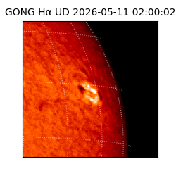gong - 2026-05-11T02:00:02