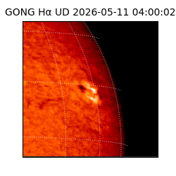 gong - 2026-05-11T04:00:02