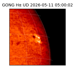 gong - 2026-05-11T05:00:02