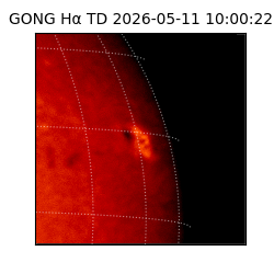 gong - 2026-05-11T10:00:22