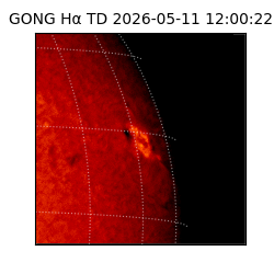 gong - 2026-05-11T12:00:22