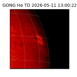 gong - 2026-05-11T13:00:22