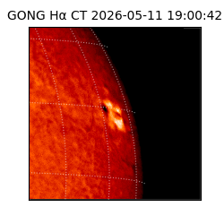 gong - 2026-05-11T19:00:42