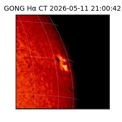 gong - 2026-05-11T21:00:42