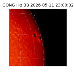 gong - 2026-05-11T23:00:02