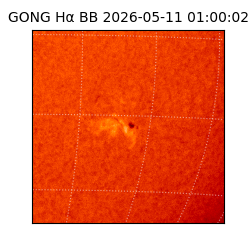 gong - 2026-05-11T01:00:02