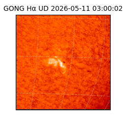 gong - 2026-05-11T03:00:02