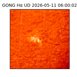 gong - 2026-05-11T06:00:02