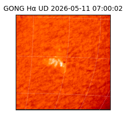 gong - 2026-05-11T07:00:02