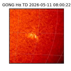 gong - 2026-05-11T08:00:22