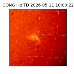 gong - 2026-05-11T10:00:22