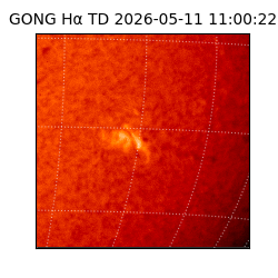 gong - 2026-05-11T11:00:22