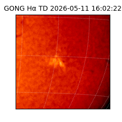 gong - 2026-05-11T16:02:22