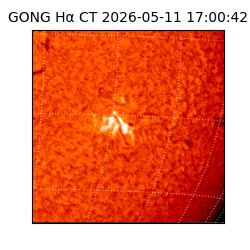gong - 2026-05-11T17:00:42