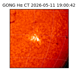 gong - 2026-05-11T19:00:42