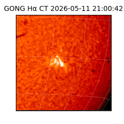 gong - 2026-05-11T21:00:42