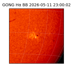 gong - 2026-05-11T23:00:02