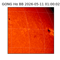 gong - 2026-05-11T01:00:02