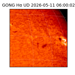gong - 2026-05-11T06:00:02