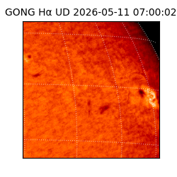 gong - 2026-05-11T07:00:02