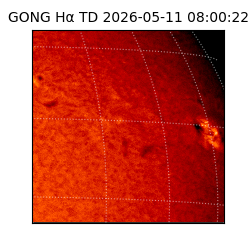 gong - 2026-05-11T08:00:22