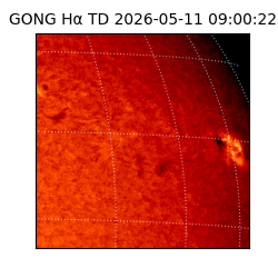 gong - 2026-05-11T09:00:22