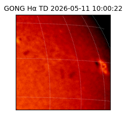 gong - 2026-05-11T10:00:22