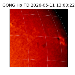 gong - 2026-05-11T13:00:22