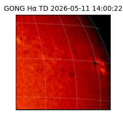 gong - 2026-05-11T14:00:22