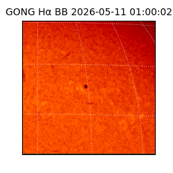 gong - 2026-05-11T01:00:02