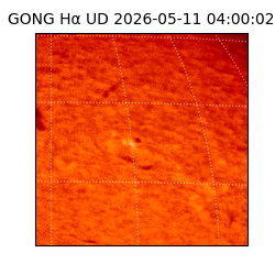 gong - 2026-05-11T04:00:02