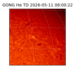 gong - 2026-05-11T08:00:22