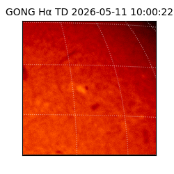 gong - 2026-05-11T10:00:22