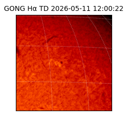 gong - 2026-05-11T12:00:22