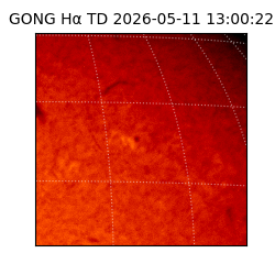 gong - 2026-05-11T13:00:22