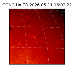 gong - 2026-05-11T16:02:22
