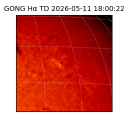 gong - 2026-05-11T18:00:22