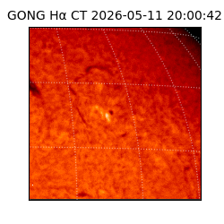 gong - 2026-05-11T20:00:42