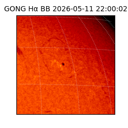 gong - 2026-05-11T22:00:02