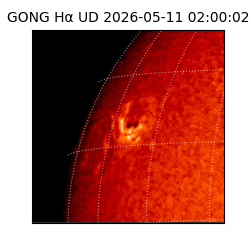 gong - 2026-05-11T02:00:02