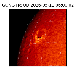 gong - 2026-05-11T06:00:02