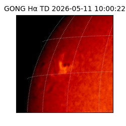 gong - 2026-05-11T10:00:22