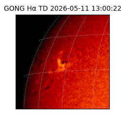 gong - 2026-05-11T13:00:22