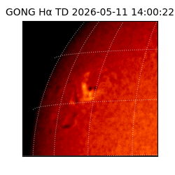gong - 2026-05-11T14:00:22