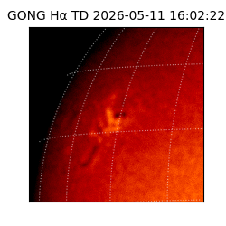 gong - 2026-05-11T16:02:22