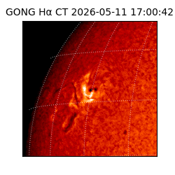 gong - 2026-05-11T17:00:42