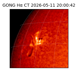 gong - 2026-05-11T20:00:42